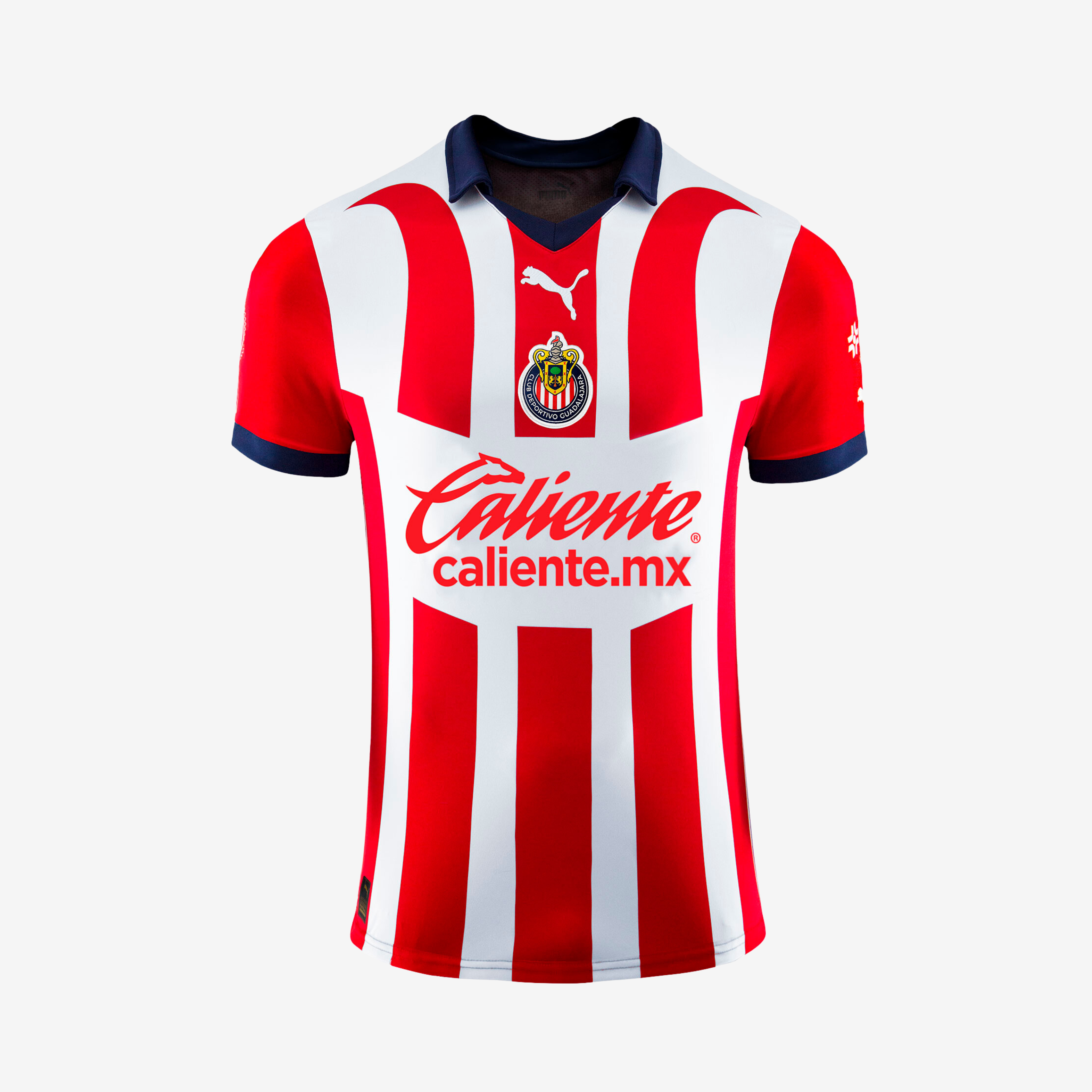 Puma Chivas 23/24 Home Replica